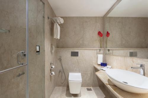 The Plaza Luxury Near International Airport By Gross Group Hotel New Delhi