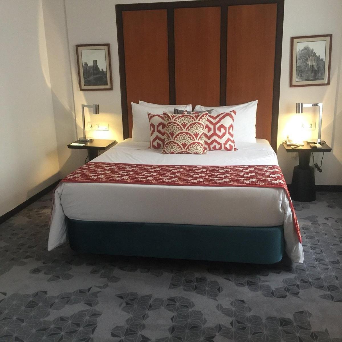 The Plaza Luxury Near International Airport By Gross Group Hotel New Delhi